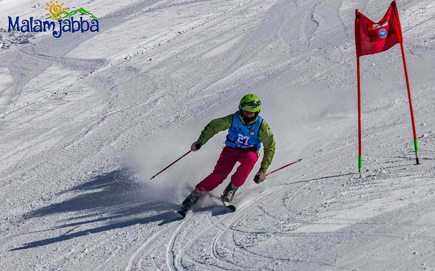 Adventure Activity: Alpine Skiing